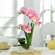 thumbnail image 4 of Orquídea FuleHouzz 39 cm Rosa con Jarrón de Cerámica, 4 of 6