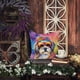 thumbnail image 3 of Almohada Decorativa Shih Tzu Hippie Dawg, 3 of 6