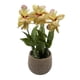 thumbnail image 2 of Planta Artificial Orquidea Amarilla Decorativa Macetero Loza, 2 of 4