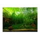 thumbnail image 4 of Cartel Del Fondo Del Acuario Del PVC, Prenda Impermeable 61x30cm Del Paisaje De Las Plantas Del Acuario De Peces, 4 of 5