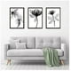 thumbnail image 1 of Cuadros Decorativos Rosas Blanco y Negro Pack X 3 Uds. 35x50 Cm C/u, 1 of 2