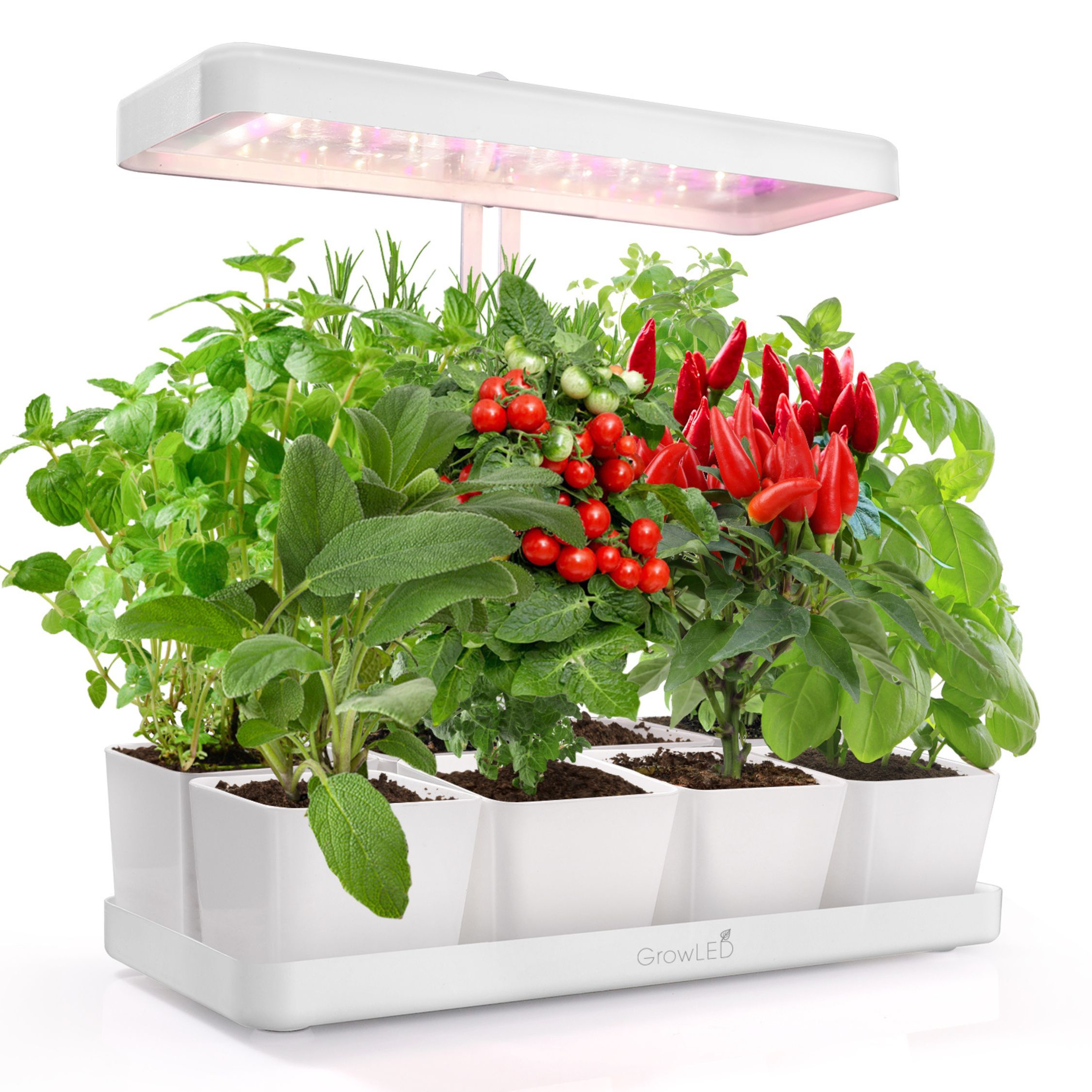 Growled - Huerto De Interior Led Natura