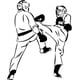 thumbnail image 1 of Decomural Martial Arts Fight Karate Sports WS-17664, 1 of 2