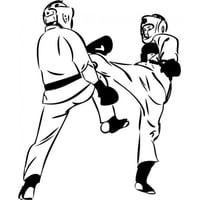 Rienda Libre Graphics - Decomural Martial Arts Fight Karate Sports Ws-17664