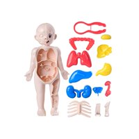 Bothyi - Juego De Enseñanza De Juguetes De Cuerpo Humano Para Herramienta De Enseñanza Preescolar