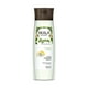 thumbnail image 1 of Shampoo de Aguacate Cabello Débil Sin Sal 325 ml, 1 of 2