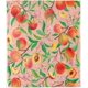 thumbnail image 1 of Peach Throw Blanket Soft Lightweight Plush Flannel Fleece Blanket with Tropical Fruit Leaves Print Pattern for Couch Sofa Bed Travel All Season Decor Blanket for Kids Adults Single, 1 of 5