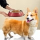 thumbnail image 3 of Comedero de acero inoxidable para perros con base de goma (paquete de 2), 3 of 5