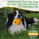 thumbnail image 5 of Dog Chew Toys M.C.Works, masticables dentales resistentes para perros grandes, 5 of 5