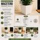thumbnail image 5 of Set 2 Macetero Plastico Bajo Premium Base Cuadrada Conica M blanco, 5 of 7