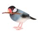thumbnail image 2 of Figura De Pájaro De Simulación, Decoración De Juguete, Figura De Pájaro Para Fiesta, Recuerdo, Cumplea?os, Hogar, 2 of 5