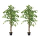 thumbnail image 1 of 2 X 1 Plantas Artificiales Ficus 160 Cm Verde, 1 of 9