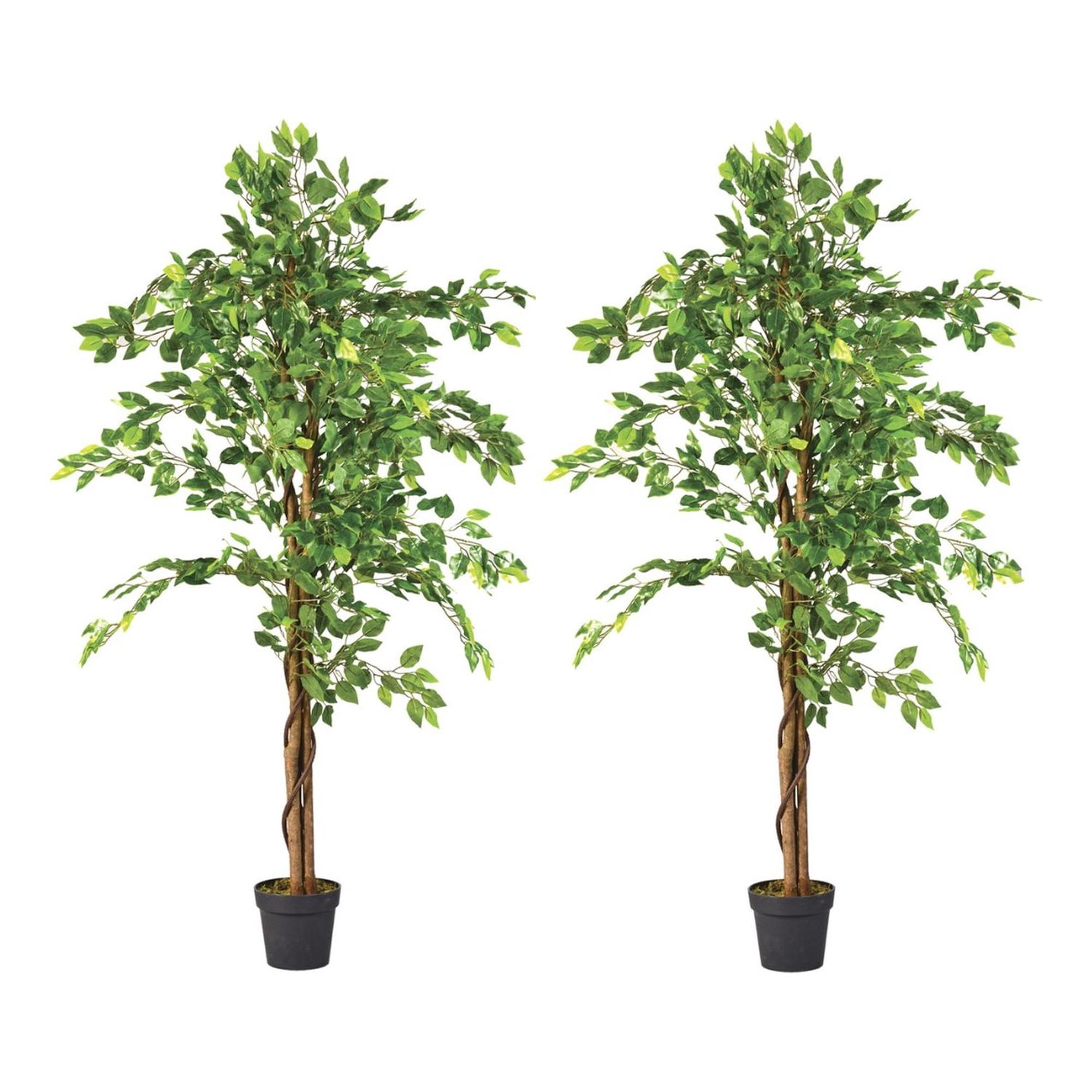 Arbusto Real - 2 X 1 Plantas Artificiales Ficus 160 Cm Verde