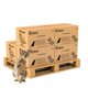 thumbnail image 1 of Recargas de Almohadillas para Gato PETSWORLD 1200 unidades Aroma Fresco, 1 of 7