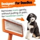 thumbnail image 2 of Cepillo slicker para perros DOODLEEZ, kit de aseo mediano, naranja, 2 of 7