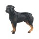 thumbnail image 4 of Modelos De Estatuillas De Perros Emulacionales Pintados A Mano Para Decoración De Fiestas Temáticas Rottweiler, 4 of 5