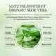 thumbnail image 4 of Crema reafirmante Aloderma para rostro y cuello con 62% de aloe vera, 4 of 9