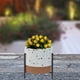 thumbnail image 4 of Maceta Decorativa Belice Mediana Soporte, 4 of 5