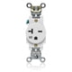 thumbnail image 1 of Enchufe Leviton individual, 20 A, 250 V, autoconexión a tierra, resistente a la intemperie, 1 of 2