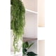thumbnail image 2 of Planta Artificial Planta Aérea 85 Cm, 2 of 3