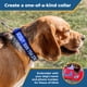 thumbnail image 3 of Collar para perro GoTags bordado personalizado con nombre y teléfono, 3 of 9