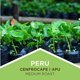 thumbnail image 2 of Café Tiny Footprint Perú Tostado Medio Orgánico USDA 454 g, 2 of 8