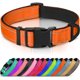 thumbnail image 1 of Collar para perro Joytale reflectante de neopreno, talla L, color naranja, 1 of 6