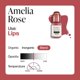 thumbnail image 3 of Perma Blend Luxe - Set de Labios Rosa - 3 unidades (14,8 ml cada una), 3 of 5