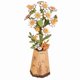 thumbnail image 1 of Flor de Madera Manzanilla Chamomile Rolife, 1 of 3