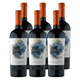 thumbnail image 1 of Vino Sideral Ensamblaje 750 Ml X6, 1 of 2