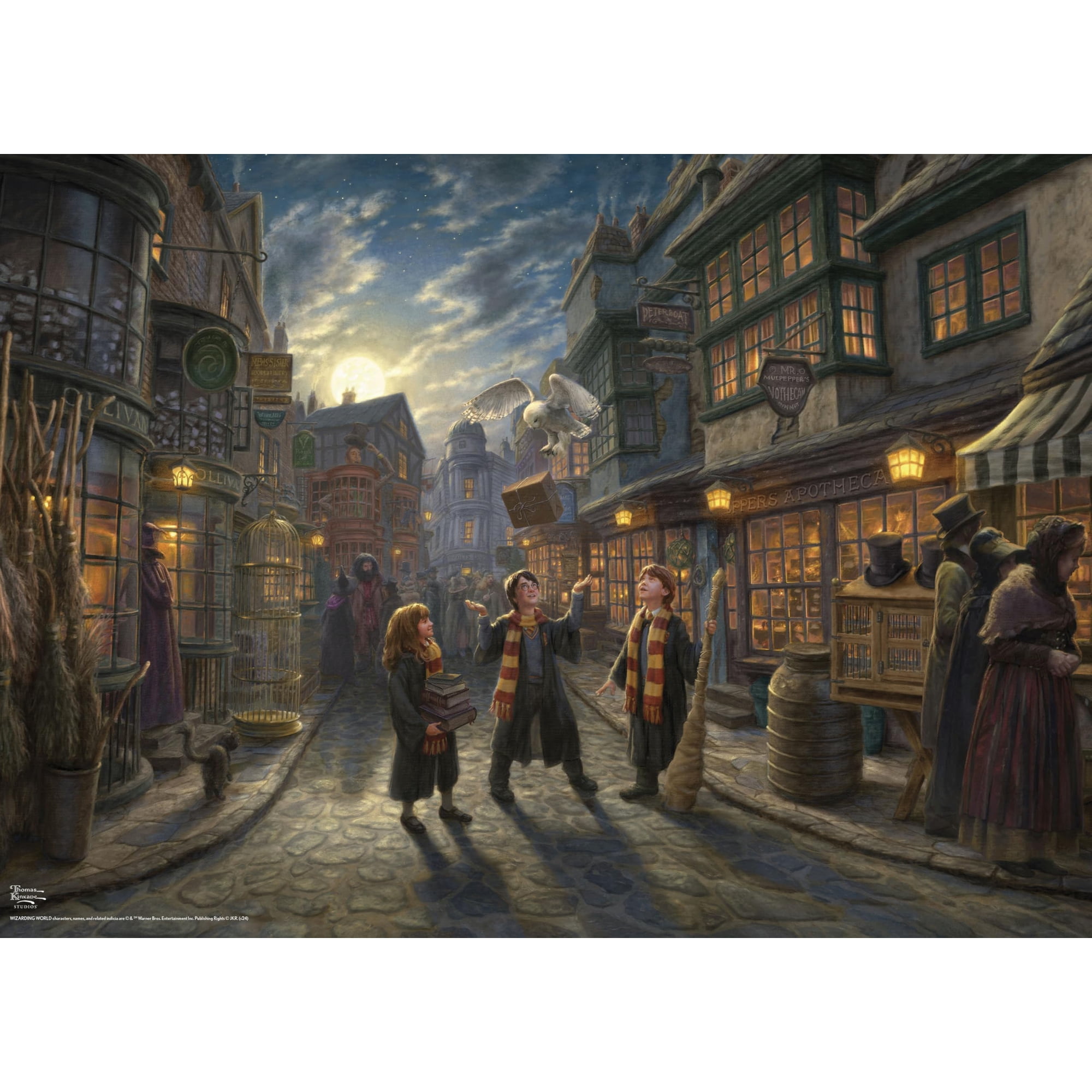 Rompecabezas Ceaco Thomas Kinkade Harry Potter 1000 Piezas