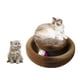 thumbnail image 1 of Tabla de rascar para gatos Enkman Magic Organ con juguete y hierba gatera, 1 of 3