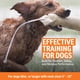 thumbnail image 3 of Collar para perro Add-A-Dog SportDog WetlandHunter 425X impermeable, 3 of 8