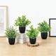 thumbnail image 3 of Plantas Artificiales Maceta Pack 4 18 Cm Sin Riego, 3 of 3