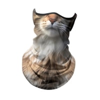 Magideal - Bandana Máscara Facial Enfriamiento De Hielo Cuello Polaina Transpirable Cara Cubierta Bufanda Protección Solar Para Mujeres Hombres Actividades Al Ai Gato
