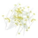 thumbnail image 2 of Poste de Fibra de Vidrio para Uso Dental 1.2mm Pack de 50, 2 of 3