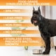thumbnail image 3 of Cuencos para perros Neater Pet Brands de acero inoxidable, 6 tazas (1,4 L), 3 of 9