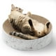 thumbnail image 1 of Rascador Para Gatos Mascotas Juguete Divertido Antiestres, 1 of 3