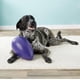 thumbnail image 4 of Juguete para perros Jolly Pets Jolly Egg, 20 cm, tamaño mediano, rojo, 4 of 4
