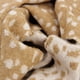 thumbnail image 2 of Bufanda/chal Triangular Mujer Tejida Bambi Print Reversible crema Talla Única, 2 of 4