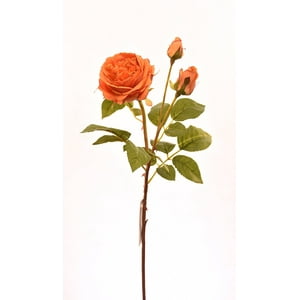 Vadell - Rosa Naranja 59 Cm