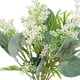 thumbnail image 2 of Ramo Eucaliptus 36 Cm, 2 of 2