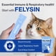 thumbnail image 4 of Suplemento Para Gatos Felysin L Lisina Para El Sistema Inmunológico, 4 of 9