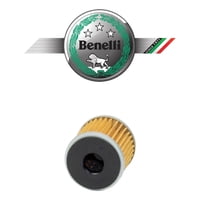 Genérico - Filtro Aceite Moto Benelli Trk 251 / Leoncino 250 Original