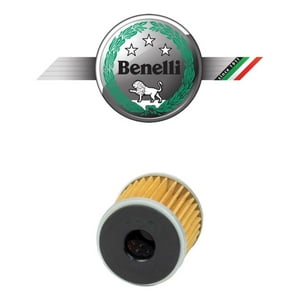 Genérico - Filtro Aceite Moto Benelli Trk 251 / Leoncino 250 Original