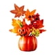 thumbnail image 4 of Decoración De Calabaza De Otoño, Cosecha Decorativa Para Mesa, Centro De Mesa, Estante, Estilo Cocina D, 4 of 5
