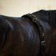 thumbnail image 5 of Surcingle de entrenamiento HORZE 170-200 cm negro de nailon, 5 of 5