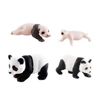 Bothyi - Ciclo De Vida Figuras De Animales Juguete 4 Etapas De Panda Ciencia Juguetes Educativos Estilo C