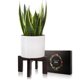 thumbnail image 2 of Soporte general para plantas de madera para interiores y exteriores, 18 cm/30 cm, 2 of 6