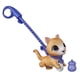 thumbnail image 2 of Juguete interactivo para mascotas FurReal Friends Peealots Lil' Wags Tabby, 2 of 9